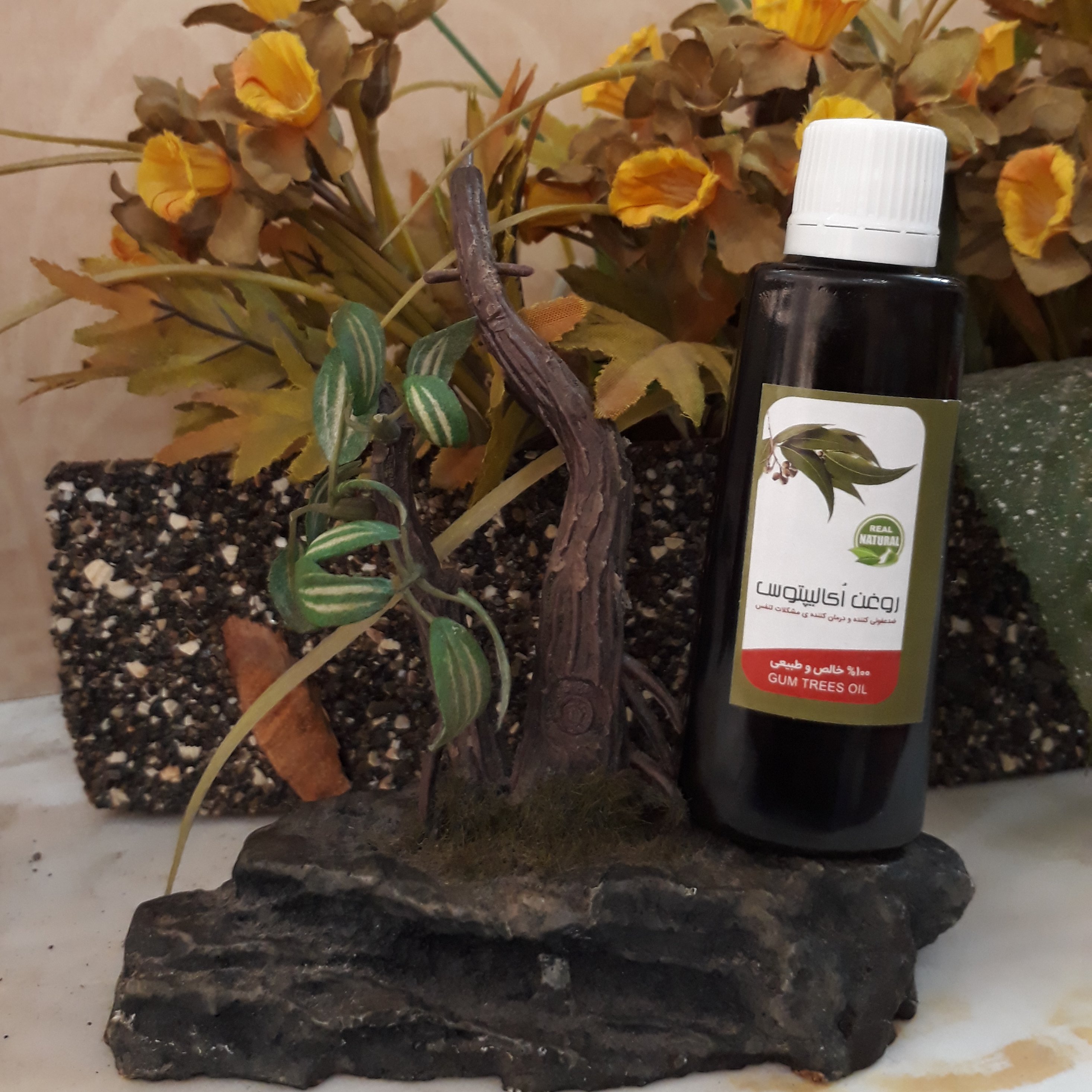 روغن برگ اکالیپتوس فدک