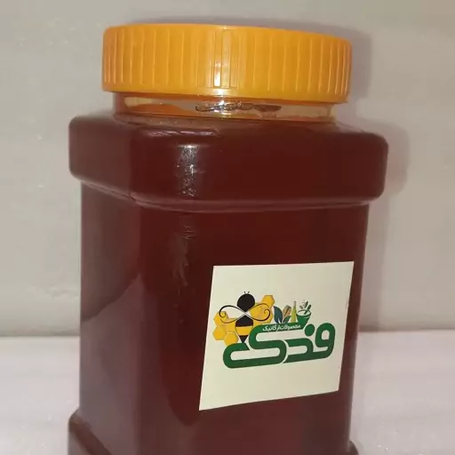 عسل یونجه ممتاز فدک (یک کیلو)