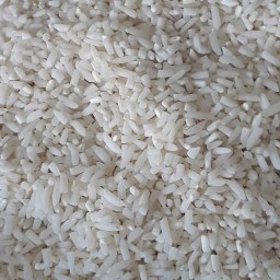 برنج  محلی نیم دانه هاشمی آستانه