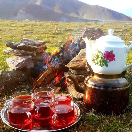چای  لاهیجان شکسته  بهاره 1402محصولی از باغات لاهیجان  (250 گرم )