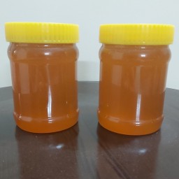 عسل خالص لالان نیم کیلوگرمی (مستقیم از زنبوردار)