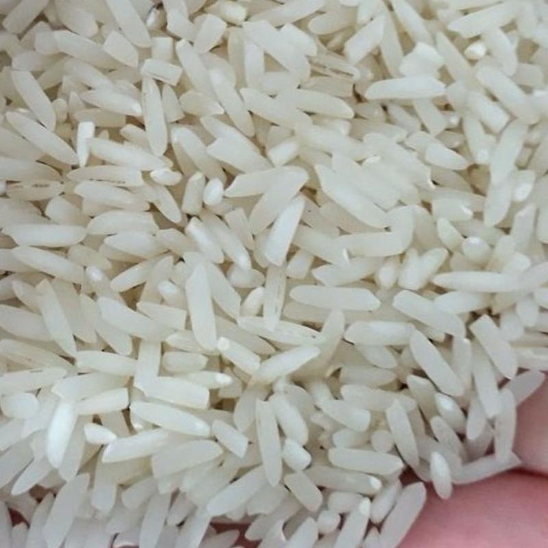 برنج شیرودی اعلا 5 کیلوگرمی