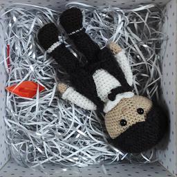 عروسک داماد تک همراه جعبه کادویی