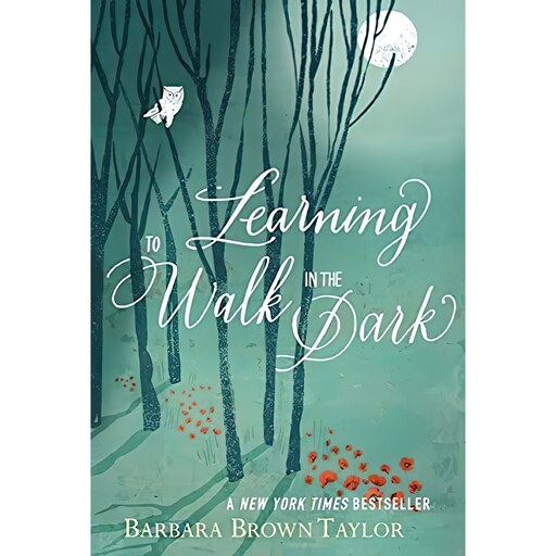 کتاب زبان اصلی Learning to Walk in the Dark اثر Barbara Brown Taylor