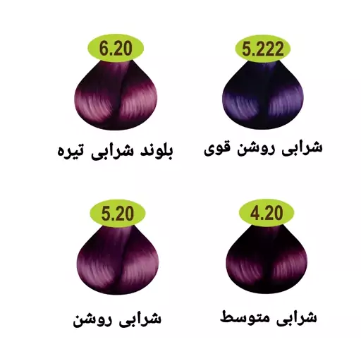 رنگ مو ماکادامیا سری شرابی 4 رنگ حجم 100 میل