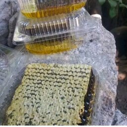 عسل گون آویشن طبیعی و خالص نیم کیلویی چالدران 