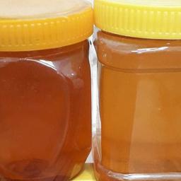 عسل طبیعی دالاهو (نیم کیلویی)