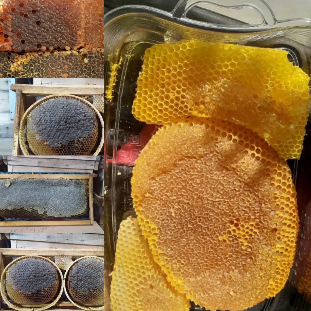عسل طبیعی