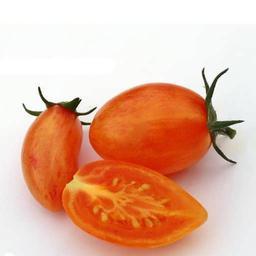 بذر گوجه زیتونی بلاش 10 عددی