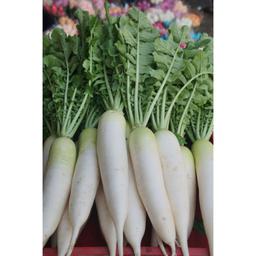 بذر هویج سفید برفی 30 عددی 
