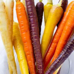 بذر هویج رنگی میکس 1 گرمی 