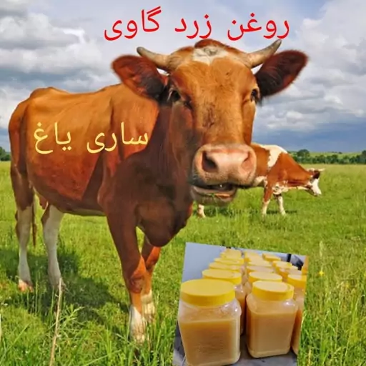 روغن زرد گاوی (ساری یاغ) یک کیلویی