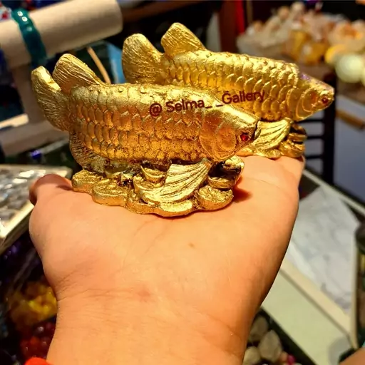 مجسمه ماهی Arowana رزینی سنگین ماهی زبان استخوانئ مجسمه ماهی زندگی مجسمه ماهی طلایی مجسمه فروشی کرج سلما گالری