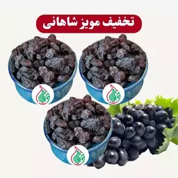 3 کیلو مویز شاهانی گوشتی دیم