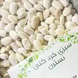 لوبیا سفید 