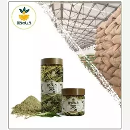 غازیاغی پودر شده  با کیفیت عالی، بار امسالی و تازه (50گرمی )