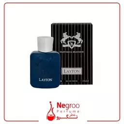 عطر زنانه و مردانه Layton برندینی 33 میل