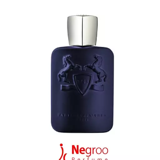 عطر زنانه و مردانه Layton برندینی 33 میل