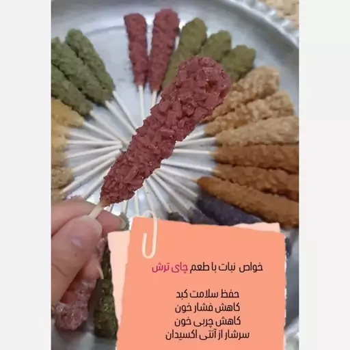 نبات چای ترش