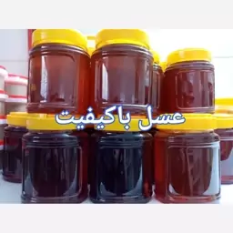 عسل کوه دیابتی