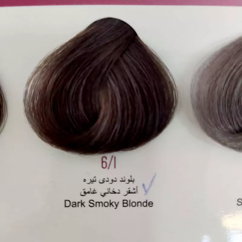 رنگ موی انزو سری خاکستری شماره 6.1 بلوند خاکستری تیره حجم 100میل