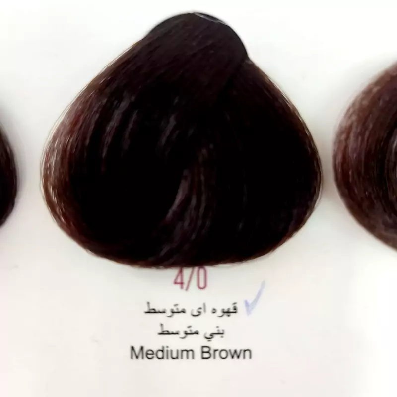 رنگ مو انزو سری طبیعی قهوه ای متوسطn4