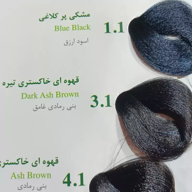 رنگ موی بدون آمونیاک نیو پرستیژ کالر سری خاکستری شماره 3.1 رنگ قهوه ای خاکستری تیره 100 میل