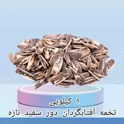 تخمه آفتابگردان دور سفید تازه 1 کیلویی اعلاء 