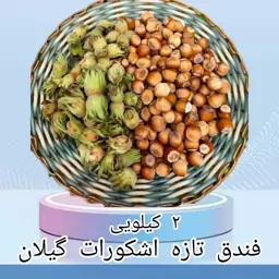 فندق اشکورات گیلان تازه 2 کیلویی اعلاء 