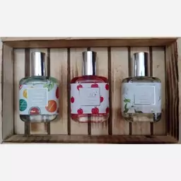 عطر جیبی فانتزی زنانه بهاری 30 میل 