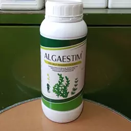 کود جلبک دریایی مایع آلگاستیم پرینوای مکزیک یک لیتری (algaestim seaweed) 