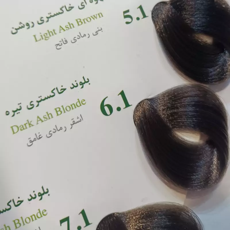 رنگ موی بدون آمونیاک نیو پرستیژ سری خاکستری شماره 6 رنگ بلوند خاکستری تیره حجم 100 میلی لیتر