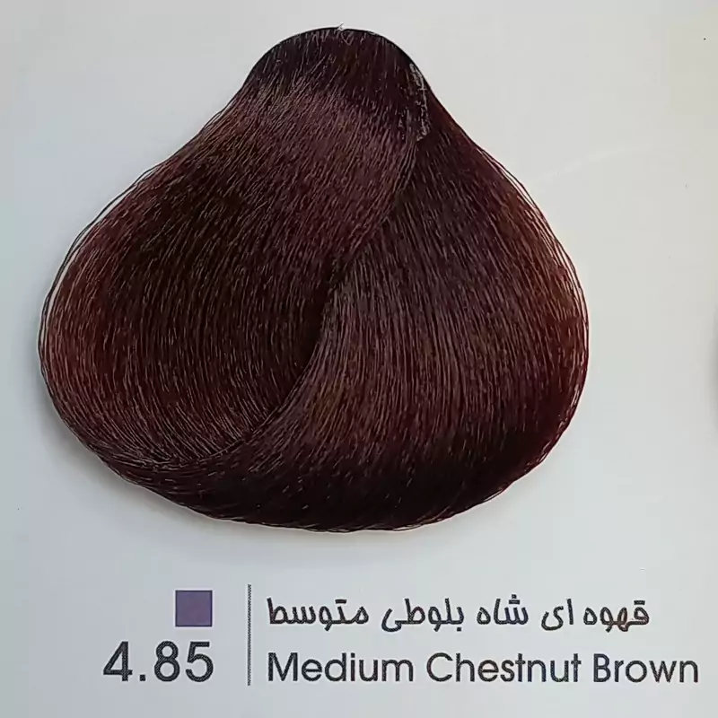 رنگ موی حرفه ای لیونل کالر قهوه ای شاه بلوطی متوسط 4 85حجم 100 میل