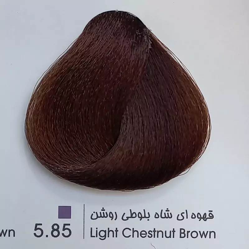 رنگ موی حرفه ای لیونل کالر قهوه ای شاه بلوطی روشن 5 85 حجم 100 میل