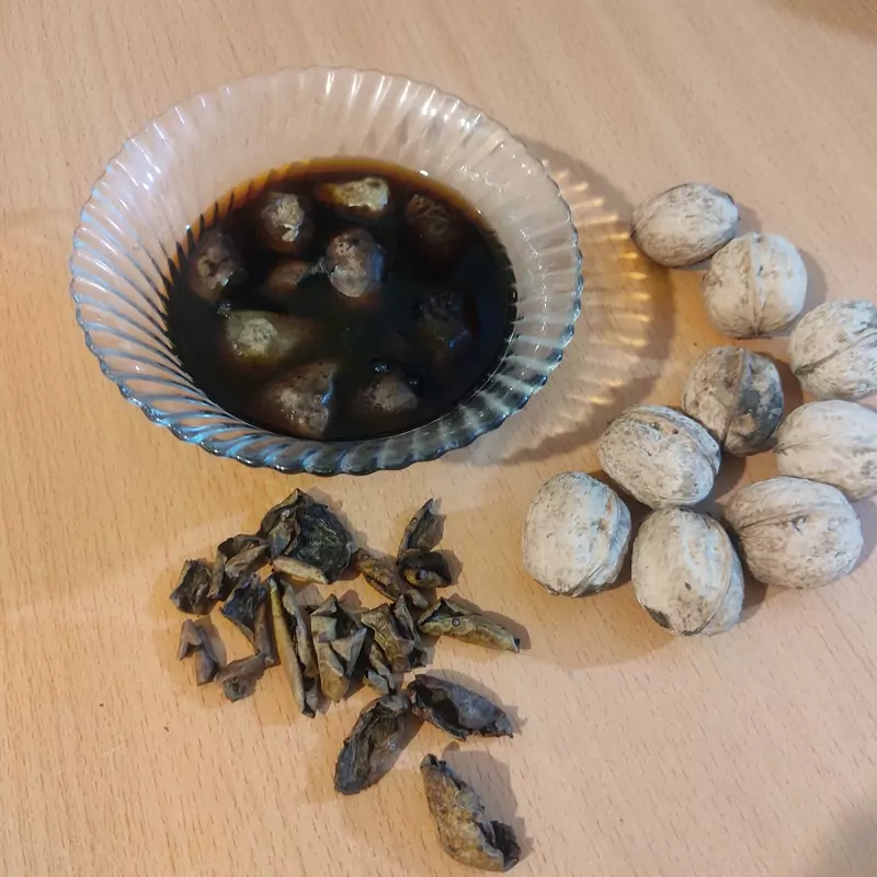 پوست سبز گردو خشک شده ارگانیک چمتا (100 گرم)