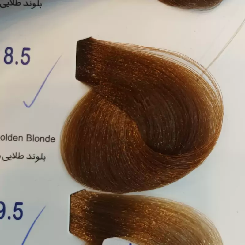 رنگ مو ادگارد بلوند طلایی روشن 8.5
