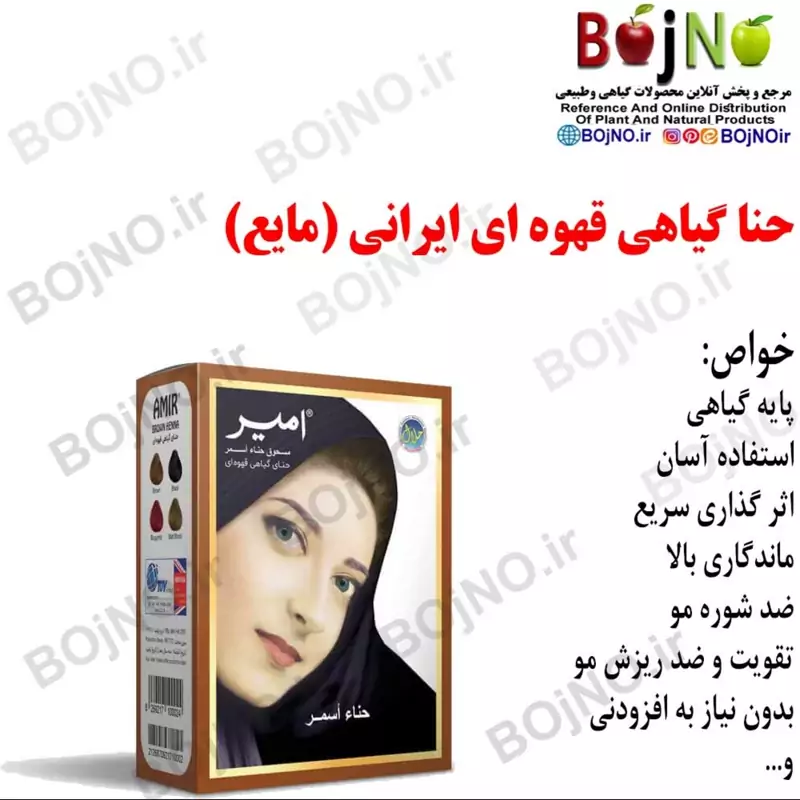 حنای امیر ایرانی