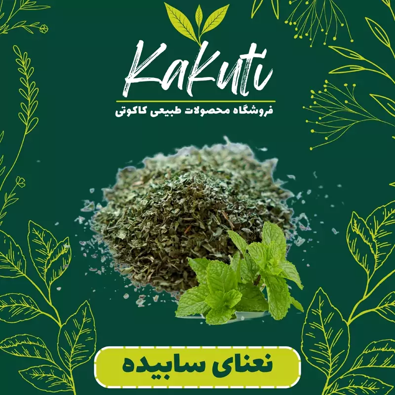  نعنا خرد شده درجه یک (130 گرمی) فروشگاه کاکوتی