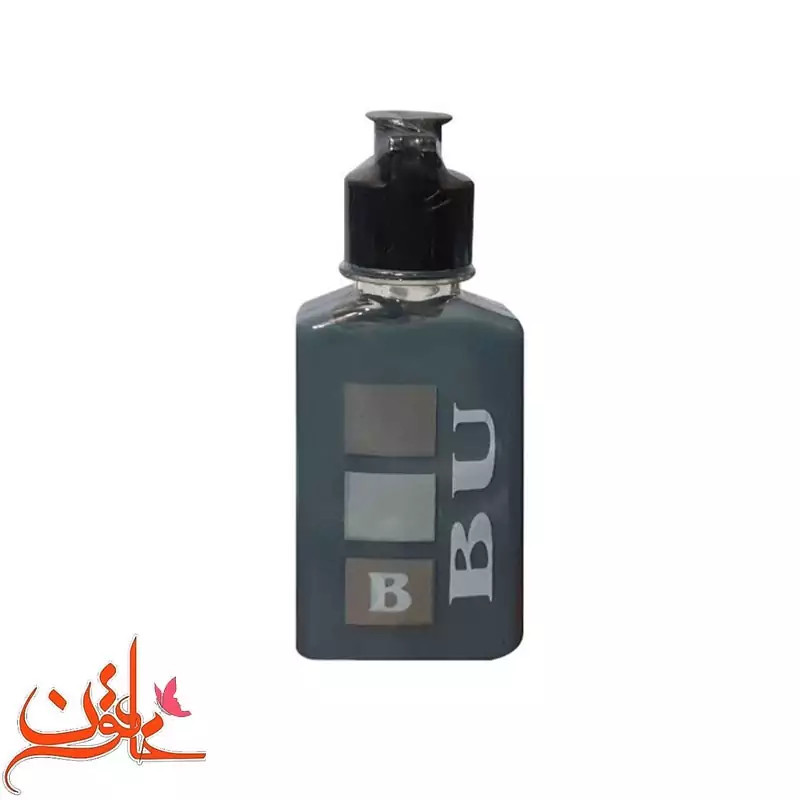 شامپو رنگساژ بیو رنگ نقره ای B03