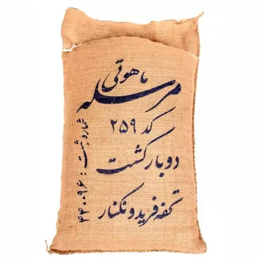 برنج کشت دوم ماهوتی