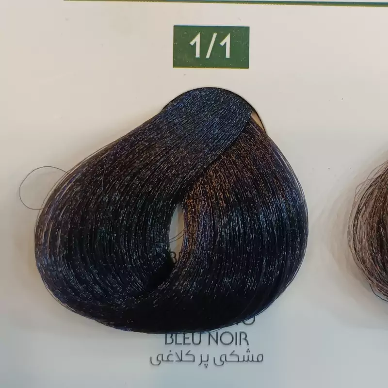 رنگ مونچرال مشکی پر کلاغی blue black