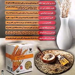 پودر جوانه گندم گلسا