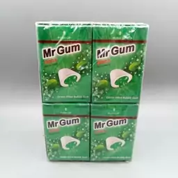 ادامس بادکنکی مغزدار مستر گام با طعم نعنا سبز بسته 16 عددی mr.gum

