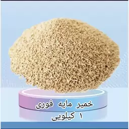 خمیر مایه فوری (مایه خمیر) 1 کیلویی اعلاء 