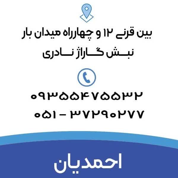 محمدرضا