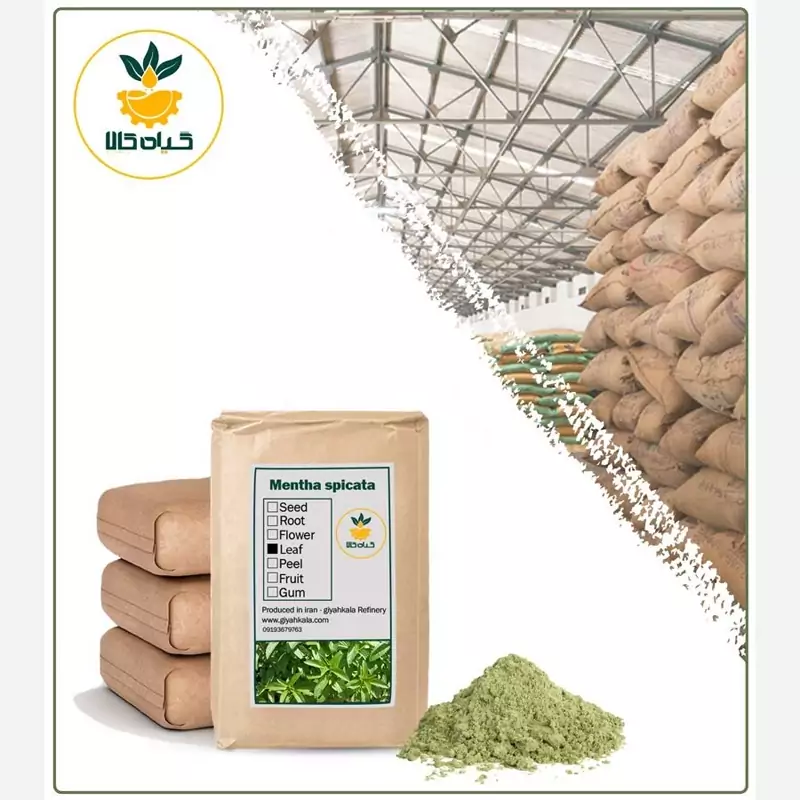 پودر نعناع دشتی کیفیت عالی، بار امسالی و تازه (2 کیلوگرم)