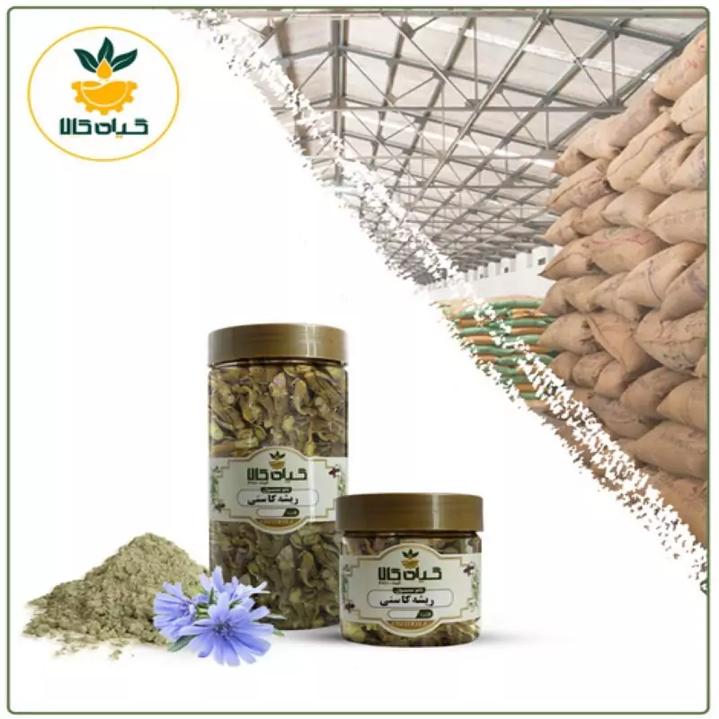 ریشه کاسنی با کیفیت عالی، بار امسالی و تازه(100گرمی )