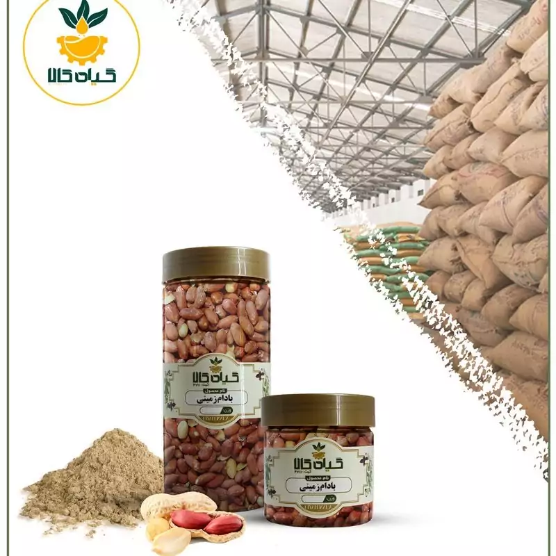 بادام زمینی، بار امسالی و تازه، (100 گرمی )
