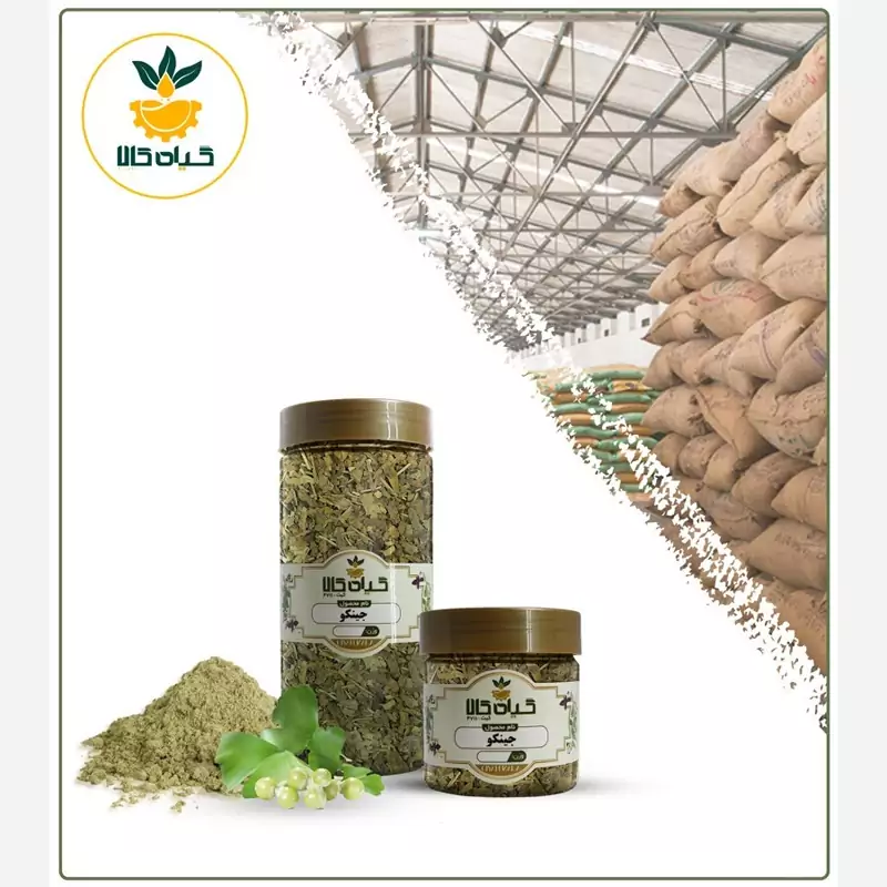 برگ جینکو با کیفیت عالی، بار امسالی و تازه(50گرمی)