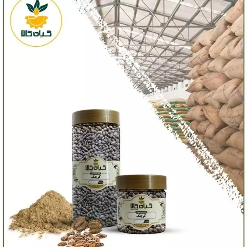دانه کرچک با کیفیت عالی، بار امسالی و تازه(250 گرمی)